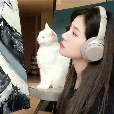 扶桑有狐