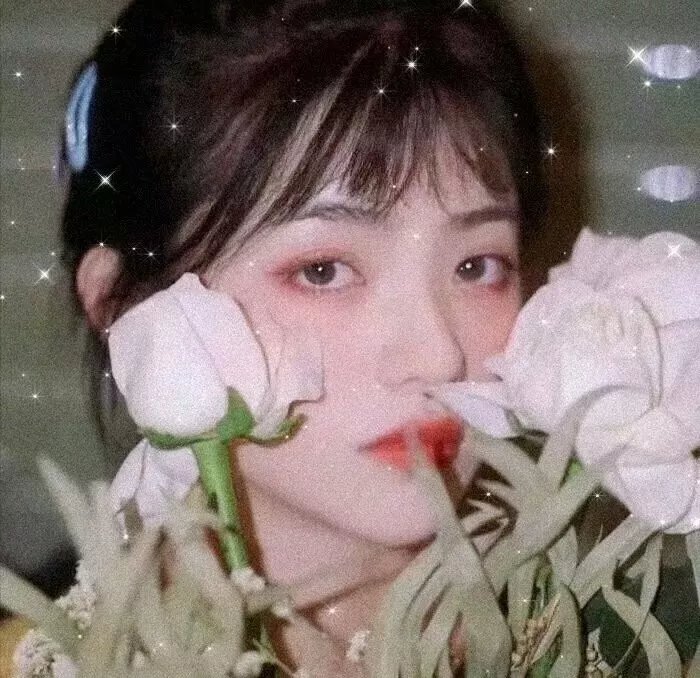 艳阳春水惊鸿
